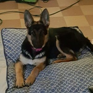 Meet your Posher, Jasmine